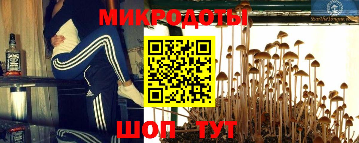 Новосибирск  Галлюциногенные грибы Psilocybine cubensis  Вход с VPN 