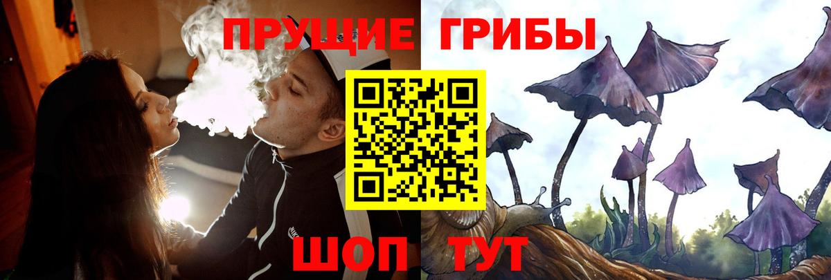 Галлюциногенные грибы GOLDEN TEACHER Новосибирск